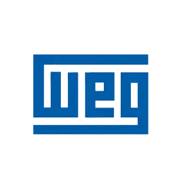 وگ